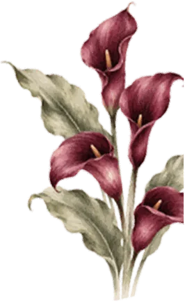 Cover Right Flower 10